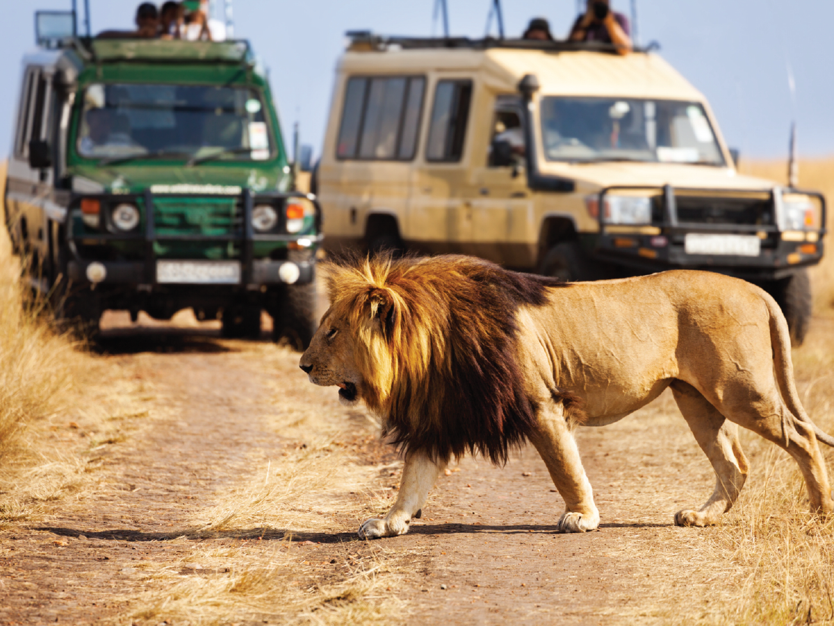 Inland safari 9 DAYS luxury SAFARI FOR 3 PAX (2 adults + child)
